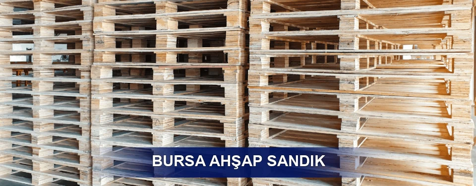 Bursa Ölçü Planı