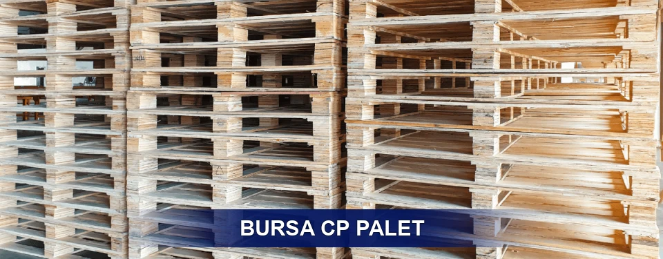 Bursa Standart Tipler