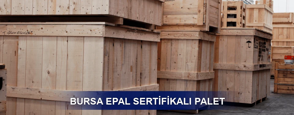 Bursa Fiyatlandırma