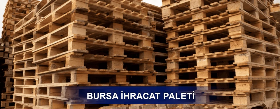 Bursa ISPM 15 Seçimi