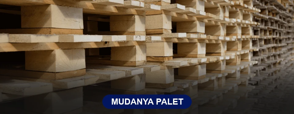 Mudanya Paletçi Mudanya Paletçi