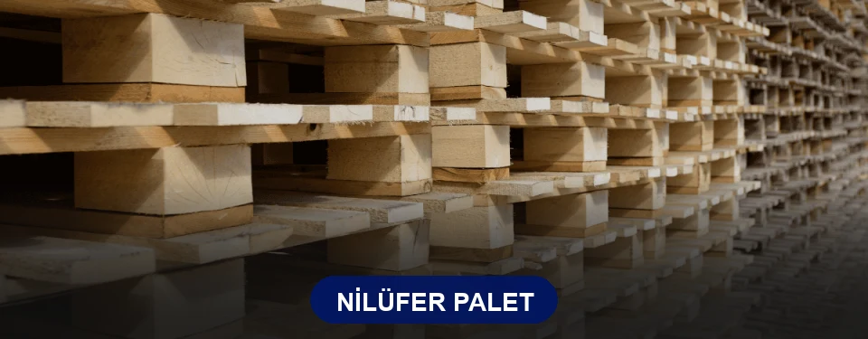 Nilüfer Paletçi Nilüfer Paletçi