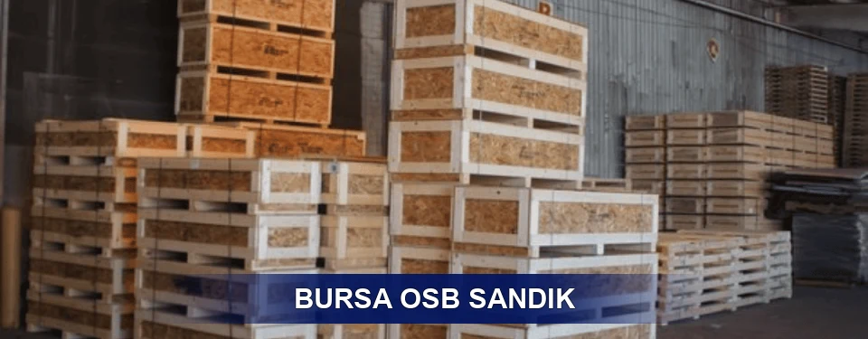 OSB Sandık