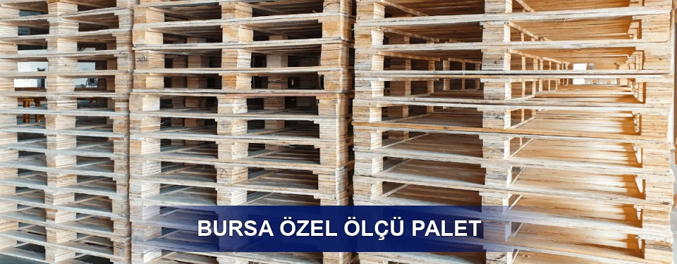 Özel Ölçü Palet