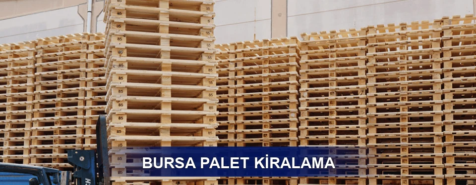 Bursa Uzun Dönem
